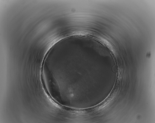 X0000094360802200711091514