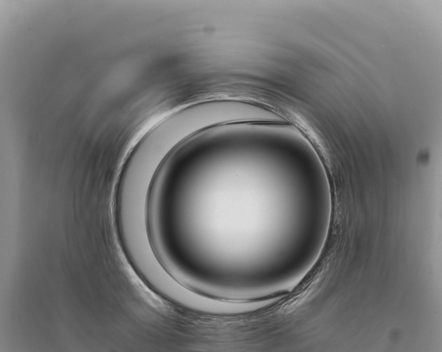 X0000094360803200711091514