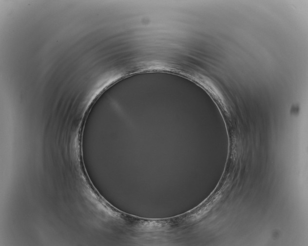 X0000094360806200711091514