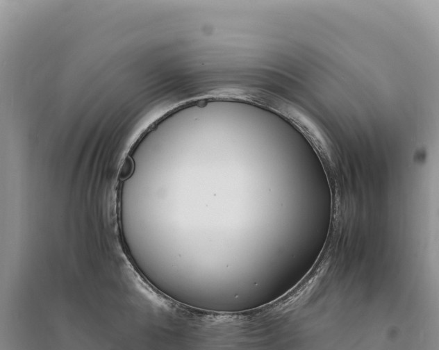 X0000094360808200711091514