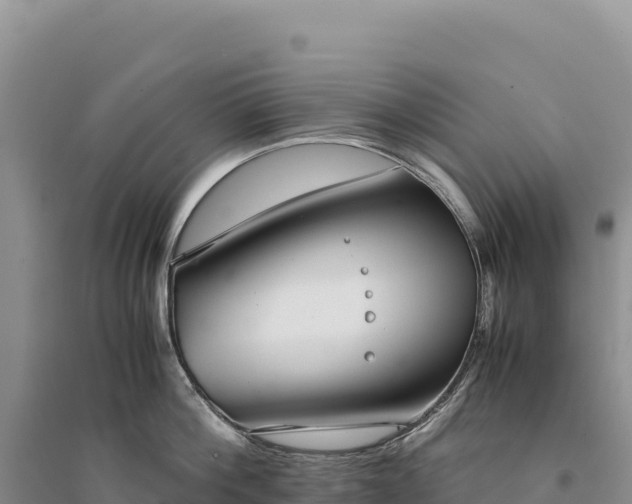 X0000094360812200711091514