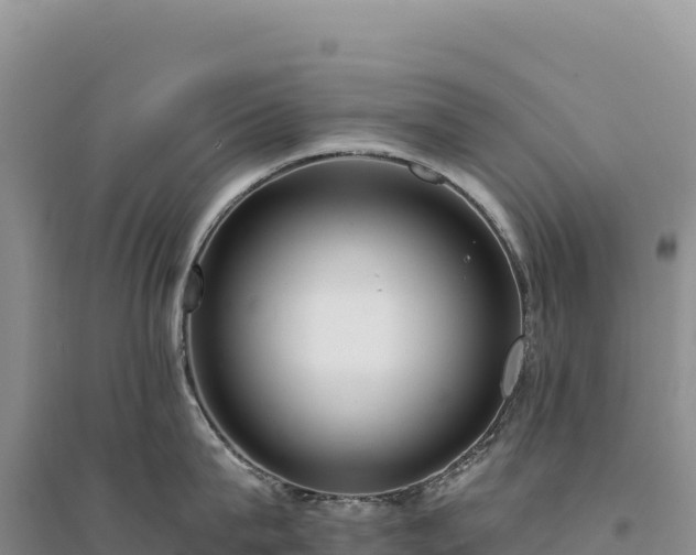 X0000094360815200711091514