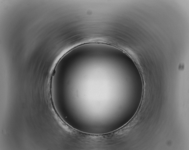 X0000094360816200711091514