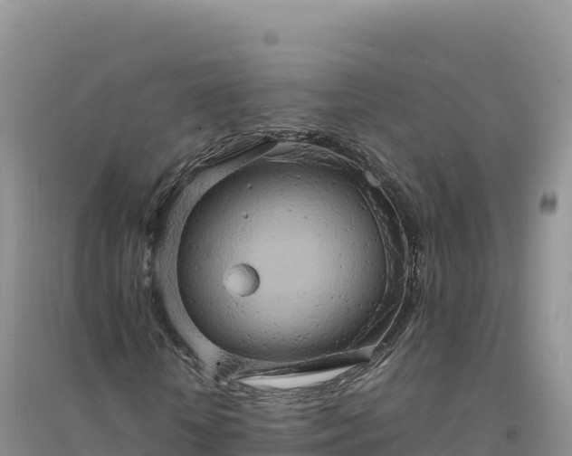 X0000094360818200711091513