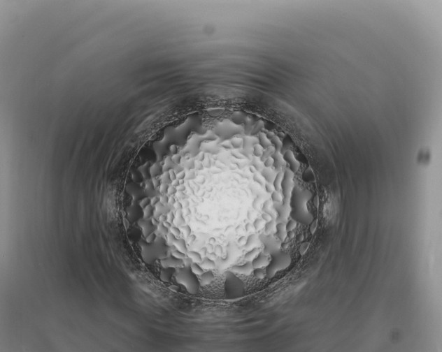 X0000094360819200711091513