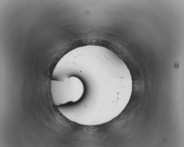 X0000094360820200711091513