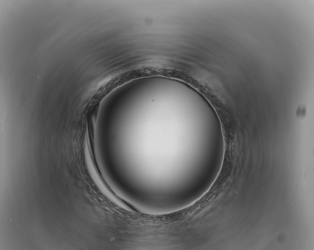 X0000094360822200711091513