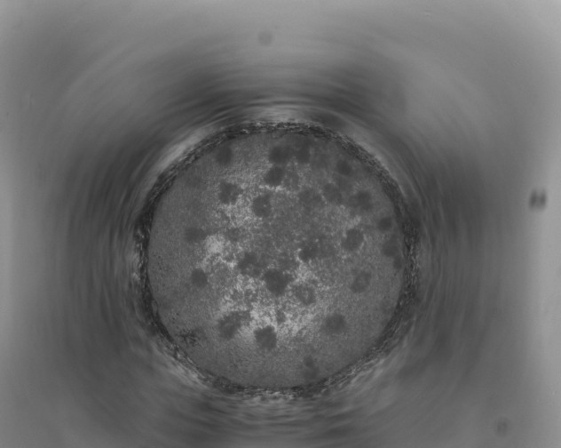 X0000094360823200711091513