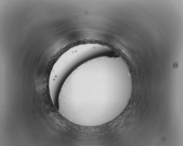 X0000094360824200711091513