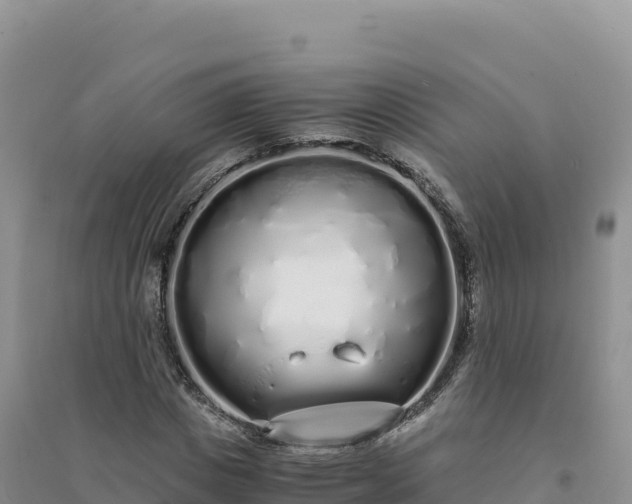 X0000094360825200711091513