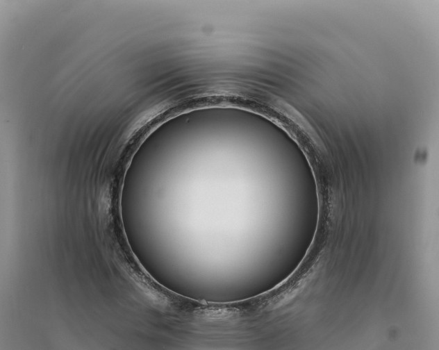 X0000094360826200711091513