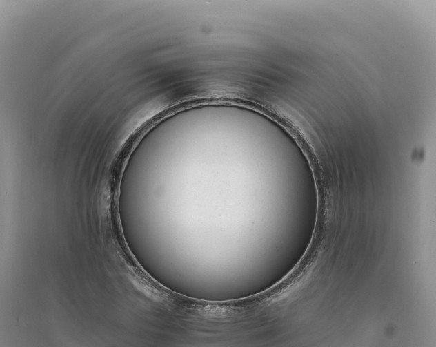 X0000094360827200711091513