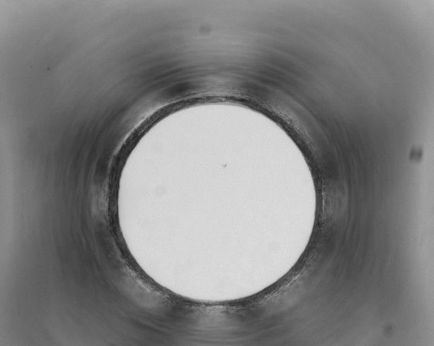 X0000094360828200711091513