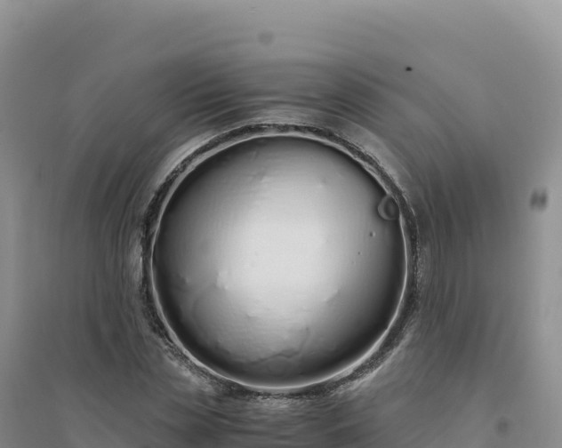 X0000094360829200711091513