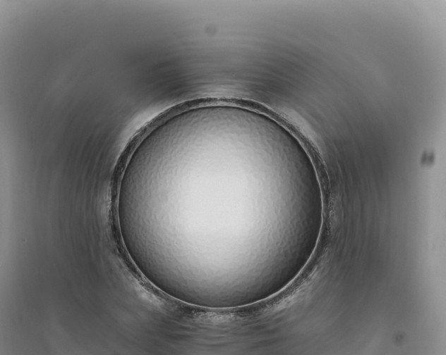 X0000094360831200711091513