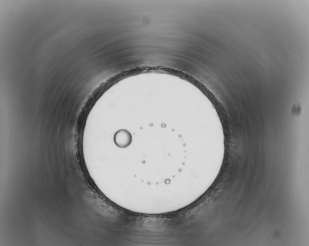 X0000094360832200711091513