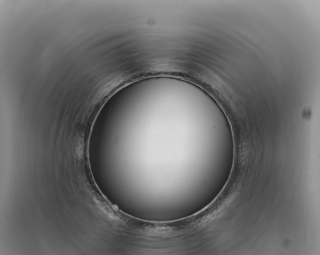 X0000094360833200711091513