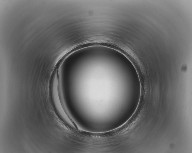 X0000094360834200711091513