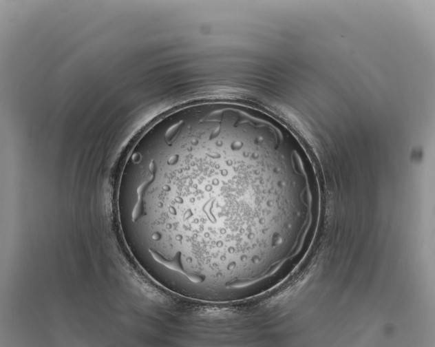 X0000094360835200711091513