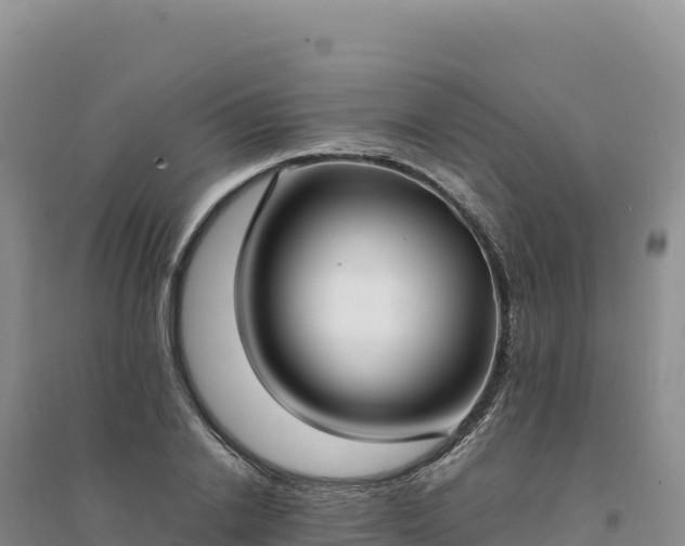 X0000094360838200711091513