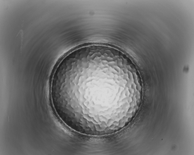 X0000094360840200711091513