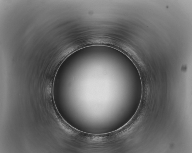 X0000094360841200711091513