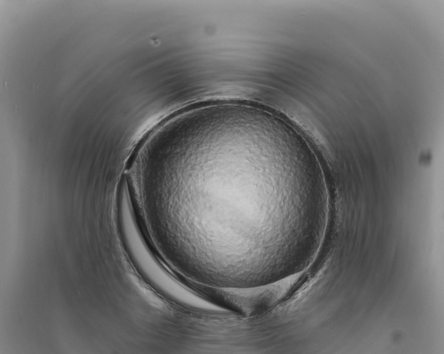 X0000094360842200711091513