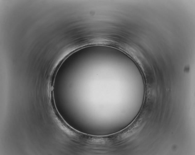 X0000094360843200711091513