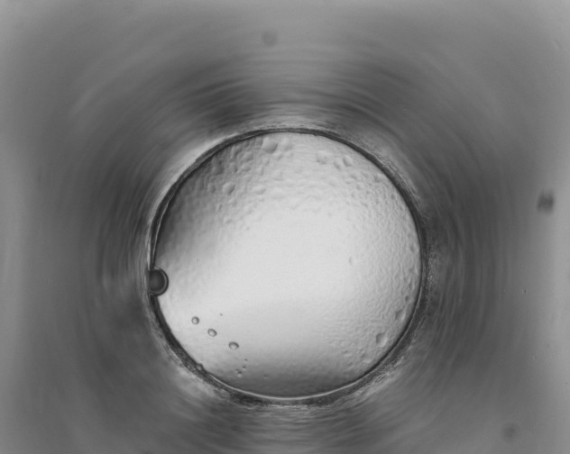 X0000094360844200711091513