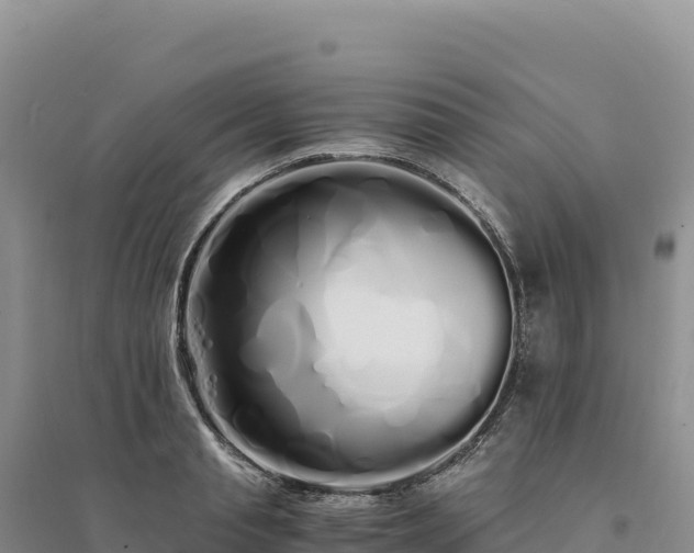 X0000094360845200711091513
