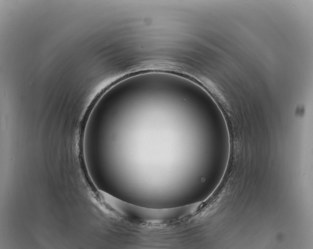 X0000094360846200711091513