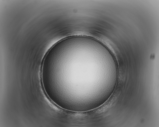 X0000094360847200711091513