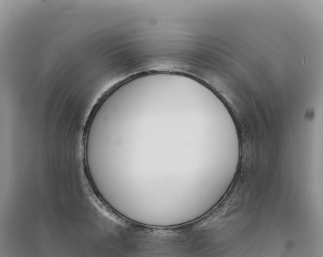 X0000094360848200711091513