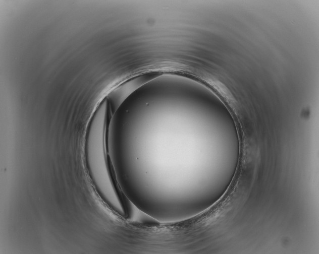 X0000094360850200711091513