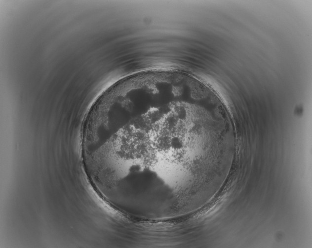 X0000094360851200711091513