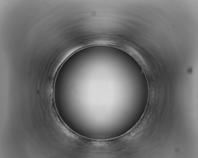 X0000094360852200711091513