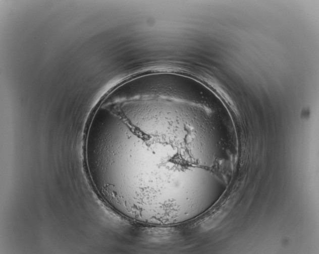 X0000094360853200711091513