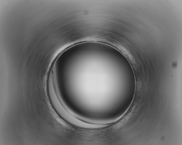 X0000094360854200711091513