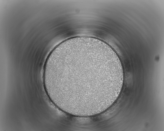 X0000094360856200711091513