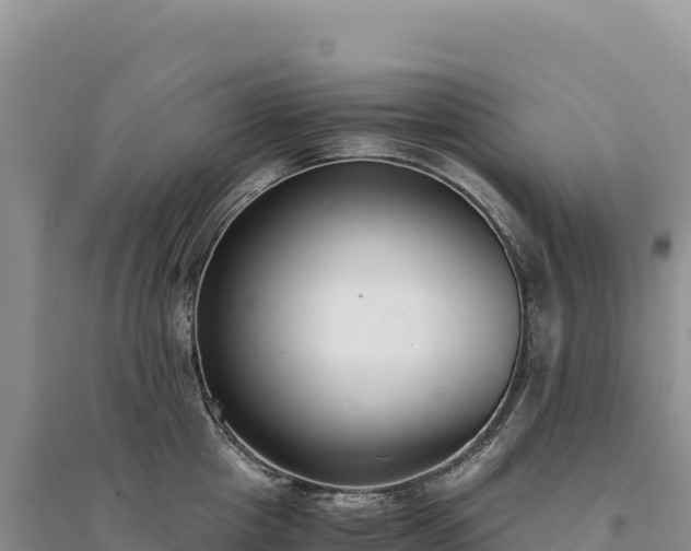X0000094360857200711091513