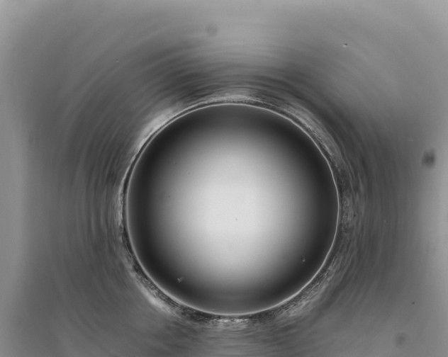X0000094360858200711091513