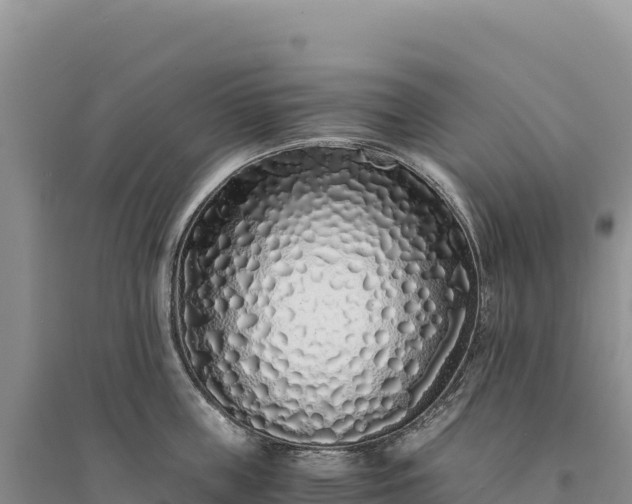 X0000094360859200711091513