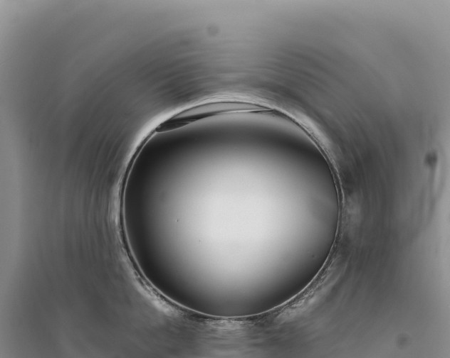 X0000094360862200711091513