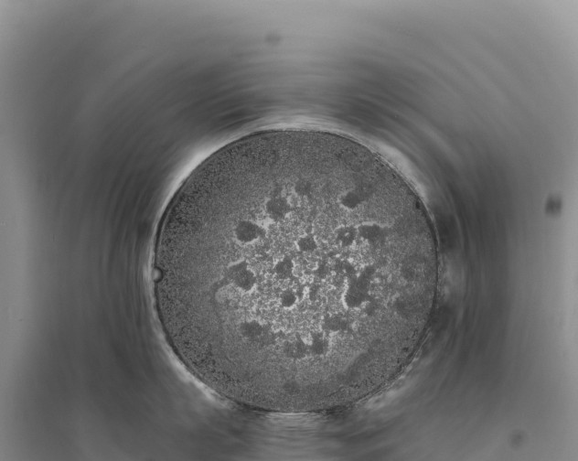 X0000094360863200711091513