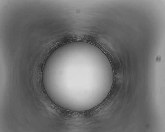 X0000094360865200711091513