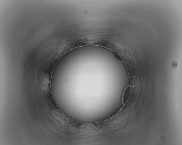 X0000094360866200711091513