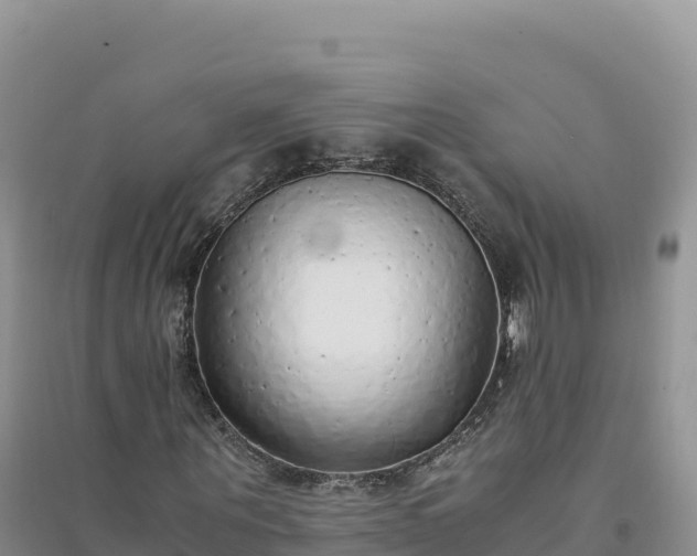 X0000094360867200711091513