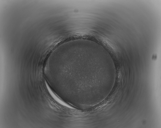 X0000094360868200711091513