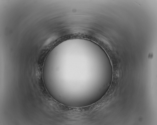 X0000094360869200711091513