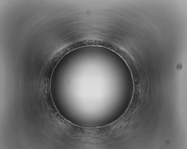 X0000094360870200711091513